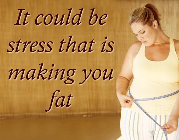 It could be stress that is making you fat