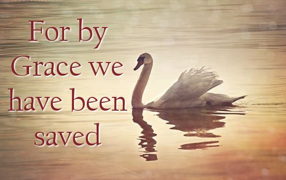 For by Grace We have been Saved